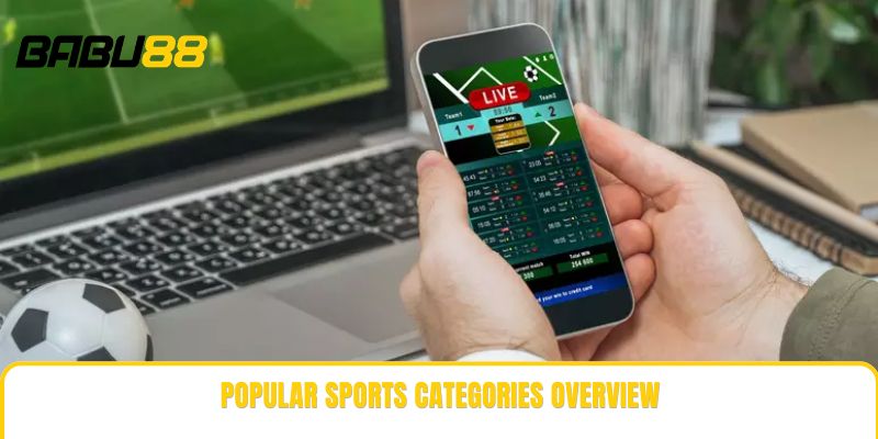 Popular sports categories overview Popular sports categories overview