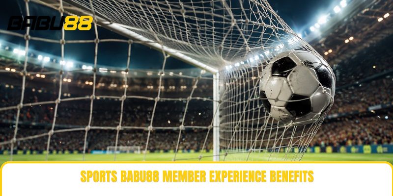 Sports babu88 member experience benefits Sports babu88 member experience benefits