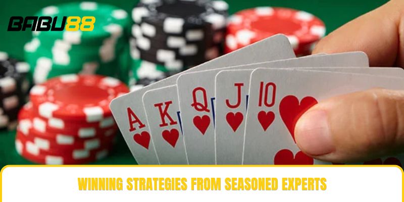 Winning strategies from seasoned experts Winning strategies from seasoned experts
